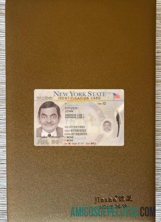 USA New York ID Card 2022 Present olhar de foto frente modelo